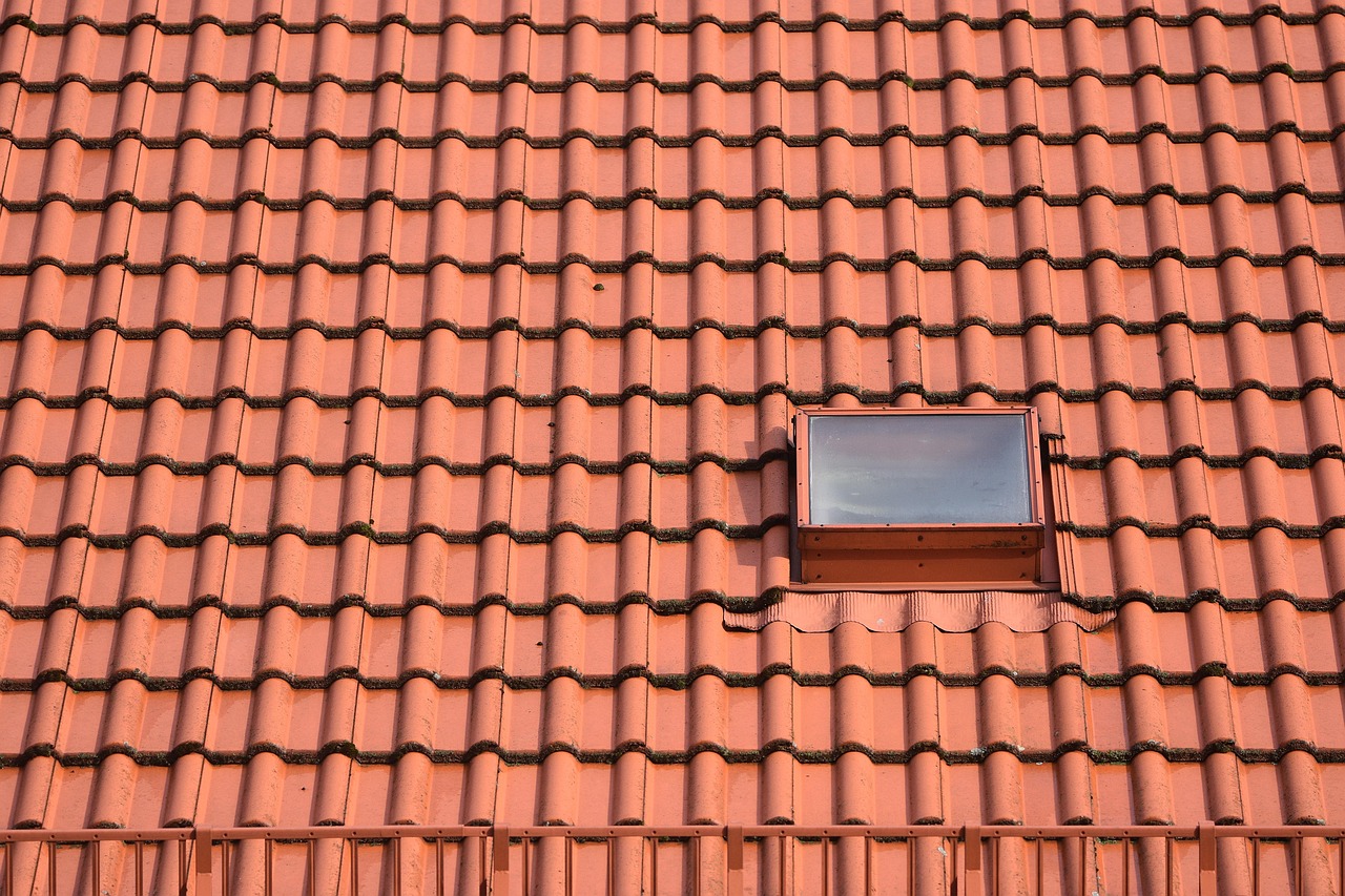 roofer inspecting roof shingles